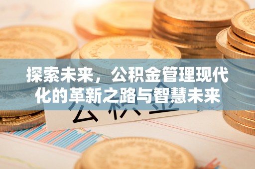 宜川探索未来，公积金管理现代化的革新之路与智慧未来