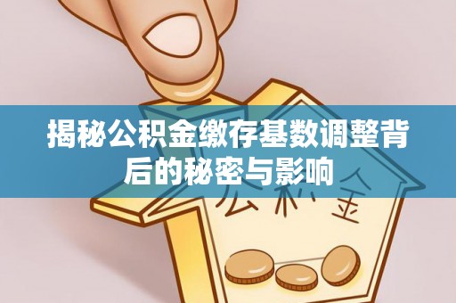 宜川揭秘公积金缴存基数调整背后的秘密与影响