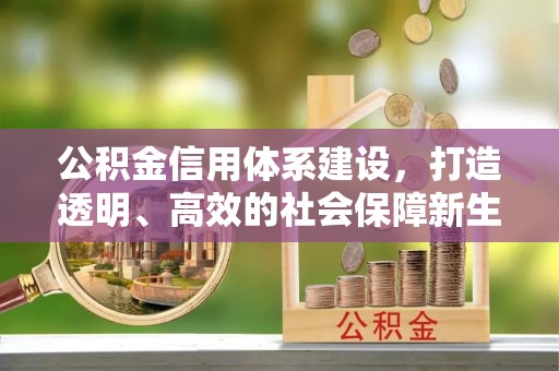 宜川公积金信用体系建设，打造透明、高效的社会保障新生态