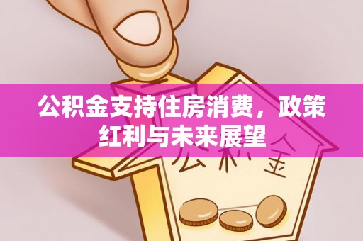 宜川公积金支持住房消费，政策红利与未来展望