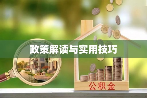 宜川政策解读与实用技巧