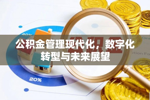 宜川公积金管理现代化，数字化转型与未来展望