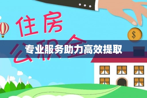 宜川专业服务助力高效提取
